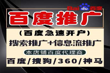 百度搜索优化：成功案例分析及策略解析